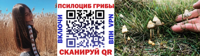 Галлюциногенные грибы Cubensis  купить наркоту  Онега 